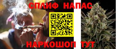 дживик Новокубанск