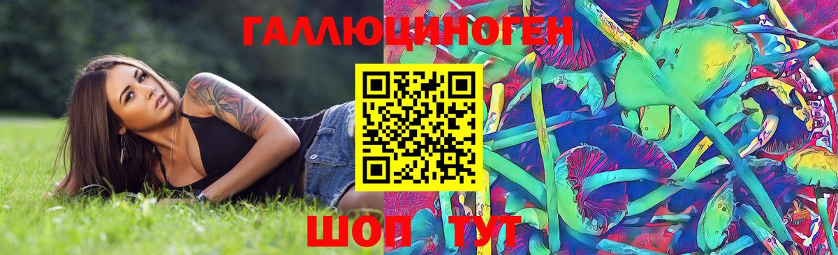 Галлюциногенные грибы прущие грибы  Вход с VPN  Сибай 